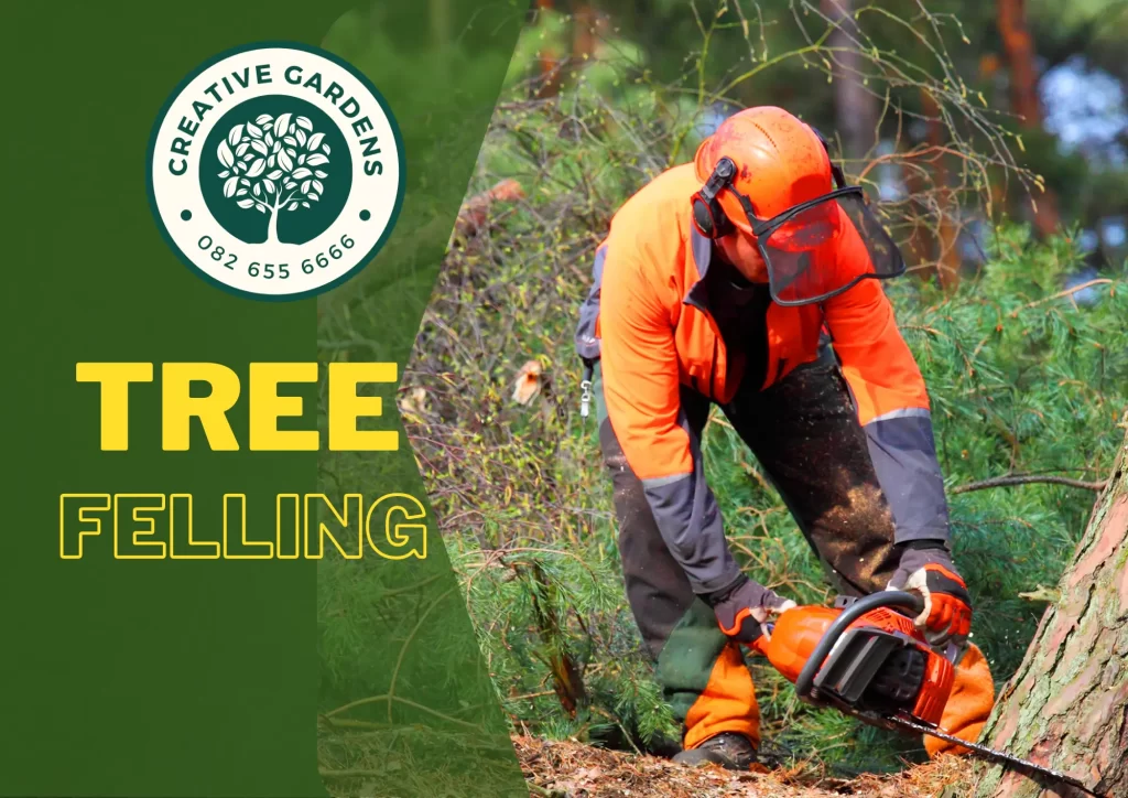 Links to Tree Felling Service Page